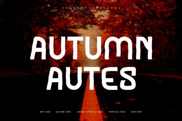 Autumn Autes First Impressions and Practical Use